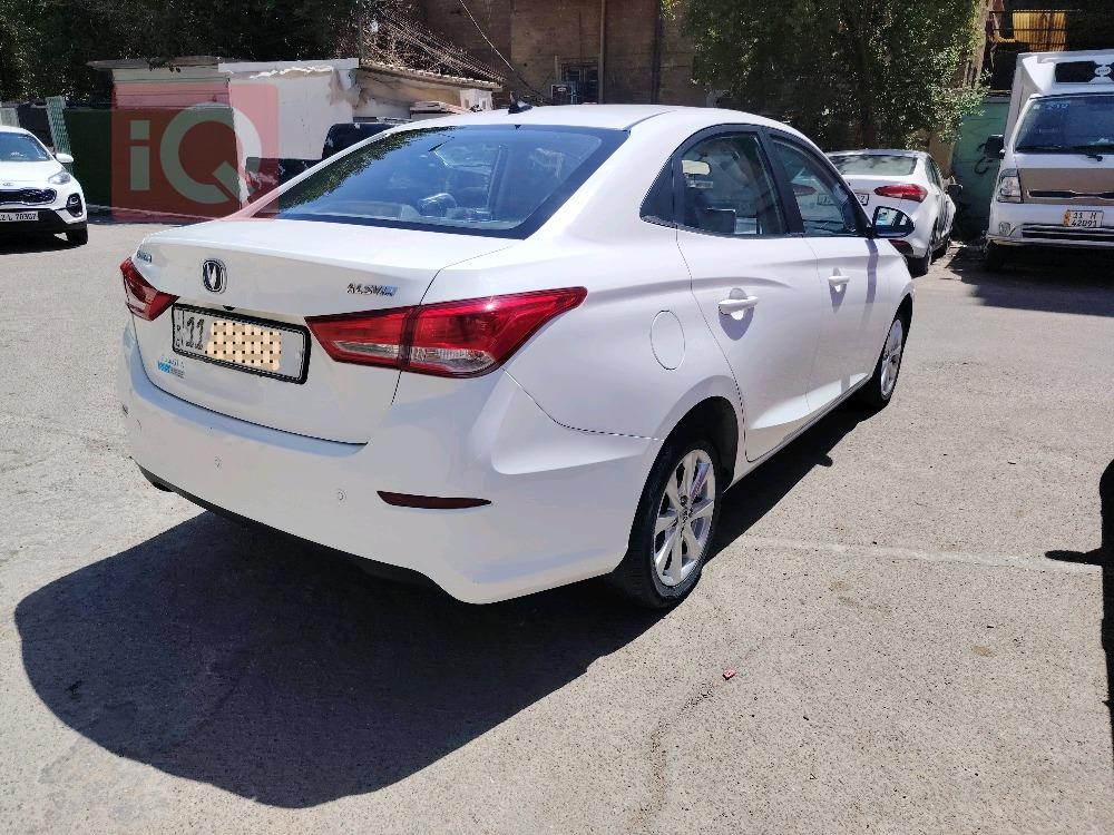 شانجان السفن